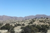 Namib Landscape