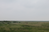 Dünenlandschaft in St. Peter-Ording