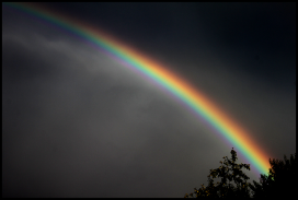 Regenbogen