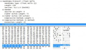 Erfolgreicher SNI Client Hello (Wireshark Screenshot)